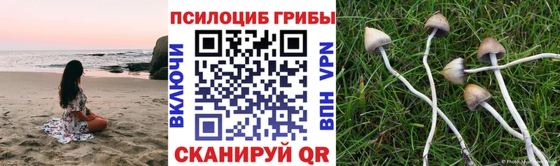 Псилоцибиновые грибы Magic Shrooms Калязин